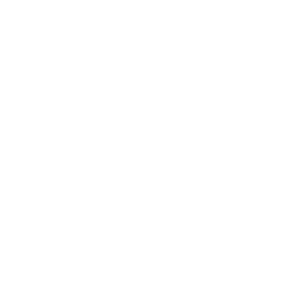 Организатор